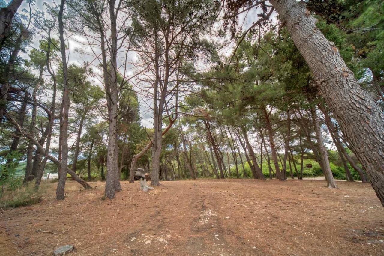Bor - The Entire Home With Sea View Ulcinj Luaran gambar